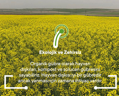 Ekolojik ve Zehirsiz